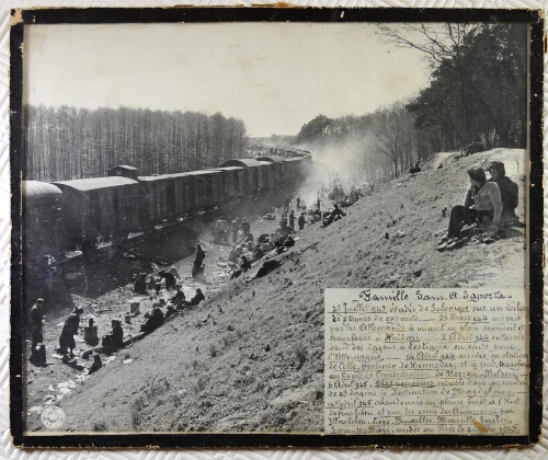 Train de déportés en provenance du camp de concentration de Bergen-Belsen abandonné par ses garde à l'approche de la 9e Armée Américaine.