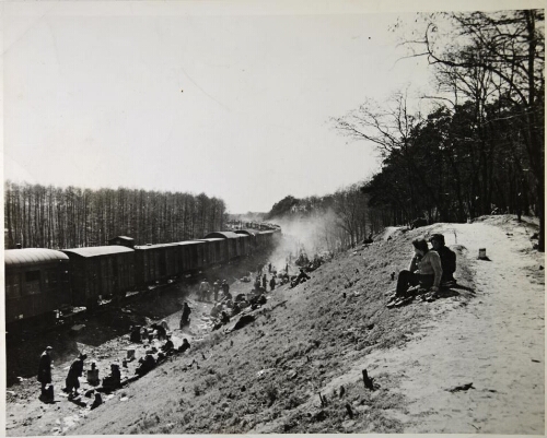 Train de déportés en provenance du camp de concentration de Bergen-Belsen abandonné par ses garde à l'approche de la 9e Armée Américaine