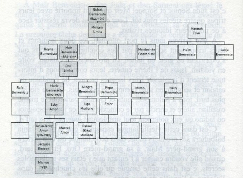 Arbre généalogique Benveniste